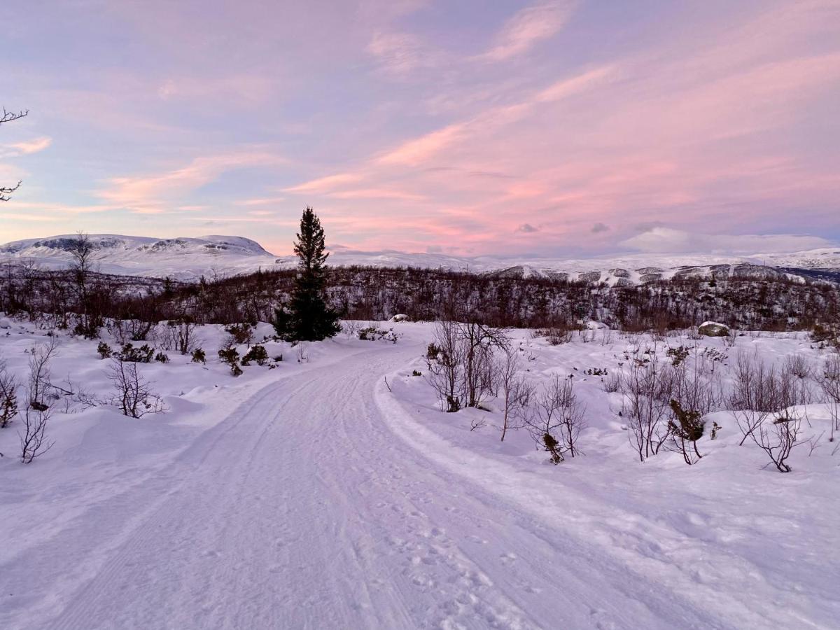 Hakkesetstølen Fjellstugu Hotell Geilo Eksteriør bilde