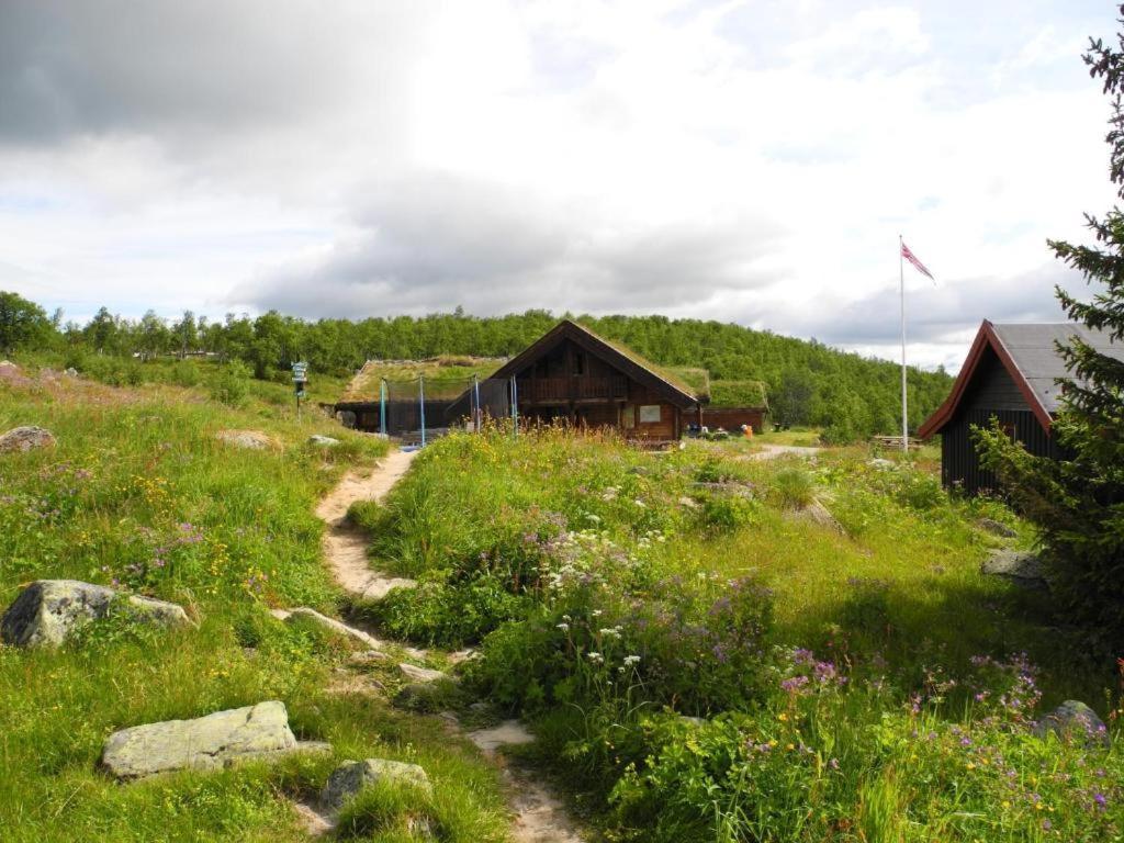 Hakkesetstølen Fjellstugu Hotell Geilo Eksteriør bilde