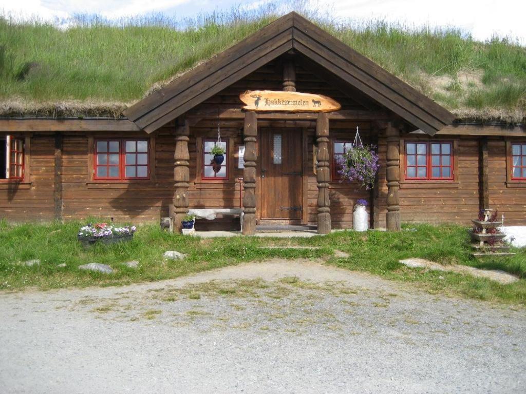 Hakkesetstølen Fjellstugu Hotell Geilo Eksteriør bilde